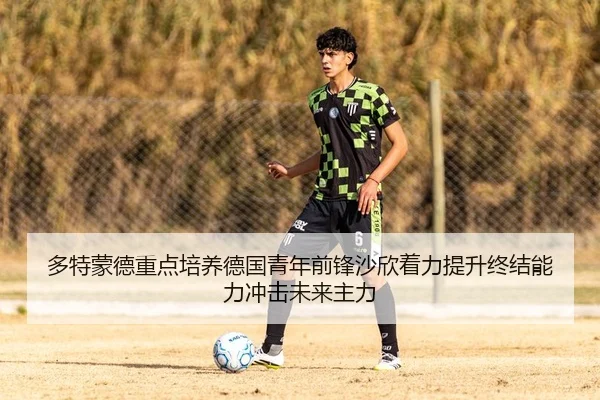 多特蒙德重点培养德国青年前锋沙欣着力提升终结能力冲击未来主力